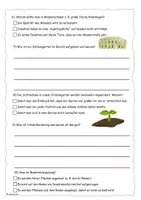 Vorschau - Arbeitsblätter - Quiz zum Garten Check (mit Lösung) - Seite 1