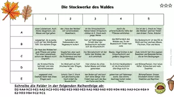 Vorschau - Aufgabenkarten - Wald - Sachtexte zum Lesen und Abschreiben - Deckblatt