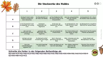 Vorschau - Aufgabenkarten - Wald - Sachtexte zum Lesen und Abschreiben - Seite 1