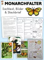 Vorschau - Arbeitsblätter - Der Monarchfalter Sachtext, Steckbrief & Bilder - Deckblatt