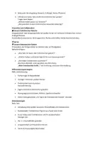 Vorschau - Mal- und Bastelvorlagen - Erdmännchen Ausmalbilder (50 Malvorlagen) inkl. Stundenentwurf (PDF) - Seite 2