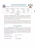 Vorschau - Stundenentwürfe - Das chemische Gleichgewicht (Zusammenfassung + Übung) - Seite 2