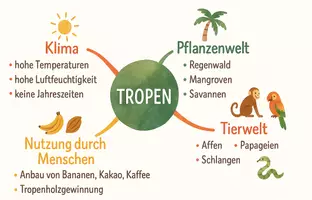 Vorschau - Arbeitsblätter - Lernposter + Arbeitsblätter zum Thema "Tropen" + Lösung & MP3 + Mindmap + Infografik - Seite 3
