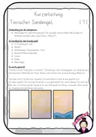 Vorschau - Stundenentwürfe - Kunst im SOMMER: Tierischer SANDENGEL am Strand - Seite 3