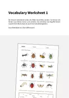 Vorschau - Arbeitsblätter - Insects: Vocabulary Worksheet 1 (Englisch) - Seite 1