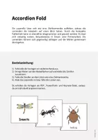 Vorschau - Mal- und Bastelvorlagen - Insects: Accordion Fold (Englisch) - Seite 1