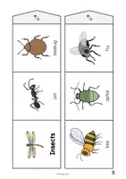 Vorschau - Mal- und Bastelvorlagen - Insects: Accordion Fold (Englisch) - Seite 3