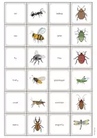 Vorschau - Mal- und Bastelvorlagen - INSECTS & BUGS: XXL Materialpaket für den Englischunterricht (Insekten und Krabbeltiere) - Seite 3