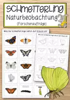 Vorschau - Anderer Materialtyp - Schmetterling Naturbeobachtung (Forscheraufträge) - Deckblatt