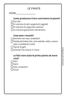 anteprima - Compiti in classe/Test - LE PIANTE - VERIFICA A CROCETTE - classe terza - scienze - Pagina 2