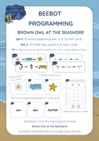 Aperçu - Jeux - Brown Owl At the Seashore - Beebot Cards & Programming Cards - Page de couverture