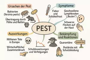 Vorschau - Arbeitsblätter - Lernposter + AB mit Fragen zum Thema "Pest" + Lösungsblatt + Mindmap + Infografik - Seite 3