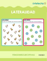 Vista previa - Hojas de trabajo - Lateralidad - página 1