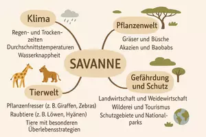 Vorschau - Arbeitsblätter - Lernposter + Arbeitsblatt "Savanne" + Onlineübung & MP3 + Mindmap + Infografiken - Seite 3