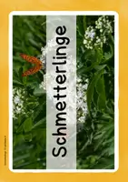 Vorschau - Bildkarten - Heimische Schmetterlingsarten - Fotokartei - Seite 2