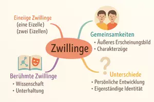 Vorschau - Arbeitsblätter - Lernposter + Arbeitsblätter zum Thema "Menschliche Zwillinge" + Lösung & MP3 + Infografik - Seite 3
