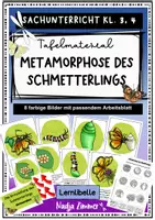 Vorschau - Arbeitsblätter - Metamorphose (Entwicklung) des Schmetterlings - Tafelmaterial mit Arbeitsblatt - Deckblatt