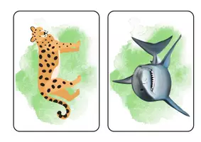Aperçu - Cartes / Images - Wild animals: picture and word cards - Page 3