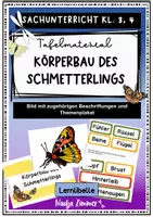 Vorschau - Bildkarten - Körperbau des Schmetterlings - Tafelmaterial - Deckblatt