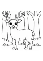 Vorschau - Mal- und Bastelvorlagen - Ausmalbilder Thema Hirsch / Reh - Grundschule - Bastelvorlagen - Seite 1