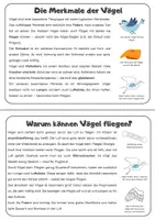 Vorschau - Mal- und Bastelvorlagen - Die Vögel- Lerntheke und Flipbook mit | Unterrichtsreihe "Wirbeltiere", Biologie 5./6. Klasse - Seite 3