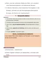 Vorschau - Arbeitsblätter - Kommas bei Appositionen, nachgestellten Adjektiven und Erläuterungen. - Seite 2