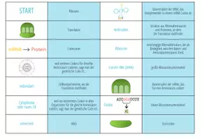 Vorschau - Spiele - Translation – Domino Spiel (Abitur) - Seite 3