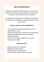 Vista previa - Unidades / Secuencias / Situaciones de Aprendizaje - Programa de Mindfuless para adolescentes - página 2