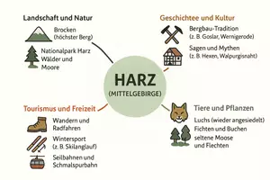 Vorschau - Arbeitsblätter - Lernposter + AB mit Fragen zum Thema "Harz (Mittelgebirge)" + Lösungsblatt + Mindmap + Infografik - Seite 3