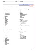 Vorschau - Arbeitsblätter - Sachtexte erschließen - Der Axolotl (inkl. Musterlösung) - Seite 2