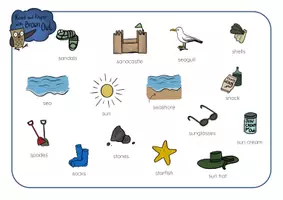 anteprima - Esercizi - Brown Owl At the Seashore - PICTURE DICTIONARY WORDMATS - Pagina 1
