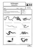 Vorschau - Arbeitsblätter - Lerntheke Schlangen - Schlangen-Silbenpuzzle (Einstieg) - Seite 2