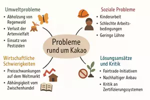 Vorschau - Arbeitsblätter - Arbeitsblätter zum Thema "Welche Probleme gibt es auf der Welt rund um den Kakao?" + Lösung & MP3 + Mindmap + Infografik - Seite 2