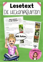Vorschau - Arbeitsblätter - Lesetext: Die Heckenpflanzen - Deckblatt