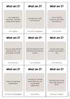 Vorschau - Aufgabenkarten - Beach: What am I? - Cards (Englisch) - Seite 3