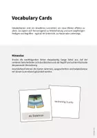 Vorschau - Mal- und Bastelvorlagen - Beach: Vocabulary Cards (Englisch) - Seite 1