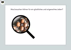 Vorschau - Arbeitsblätter - Haltungsformen von Legehennen - Gruppenpuzzle, Lernheft o.ABs Kl 5/6 - Seite 1