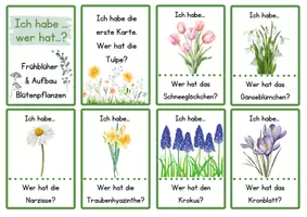 Vorschau - Bildkarten - "Ich habe- Wer hat...?" zu: Frühblüher & Aufbau der Blütenpflanzen - Seite 1