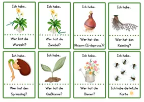 Vorschau - Bildkarten - "Ich habe- Wer hat...?" zu: Frühblüher & Aufbau der Blütenpflanzen - Seite 3