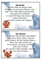 Vorschau - Stationenlernen - Abschreibkarten Meerestiere - Seite 2