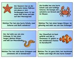 Vorschau - Stationenlernen - Materialpaket Meerestiere - Seite 2