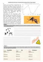 Vorschau - Stundenentwürfe - Tigermücke in Deutschland - invasive Arten (Sek II) - Seite 1