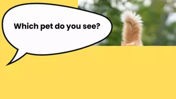 Vorschau - Spiele - guess my pet - Seite 3