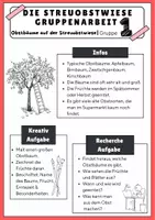 Vorschau - Stationenlernen - Streuobstwiese Gruppenarbeit - Seite 2