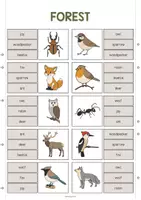 Vorschau - Stationenlernen - Forest: Clip Cards / Klammerkarten (Englisch) - Seite 3