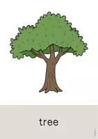 Vorschau - Poster - Forest / Wald: 60+ Bildkarten auf Englisch (Flashcards & Tafelmaterial) - Seite 2