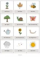 Vorschau - Mal- und Bastelvorlagen - Garden: Vocabulary Cards (Englisch) - Seite 2