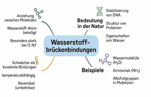 Vorschau - Arbeitsblätter - Lernposter + Arbeitsblatt "Wasserstoffbrückenbindungen und ihre Auswirkungen" + interaktive Lösung & MP3 + Mindmap + Infografik - Seite 3