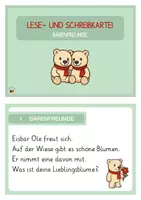 Vorschau - Aufgabenkarten - LESE- UND SCHREIBKARTEI BÄRENFREUNDE - Seite 1