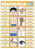 Vista previa - Unidades / Secuencias / Situaciones de Aprendizaje - KÖRPER Deutsch / Alemán Klammerkarten Deutsch - página 3